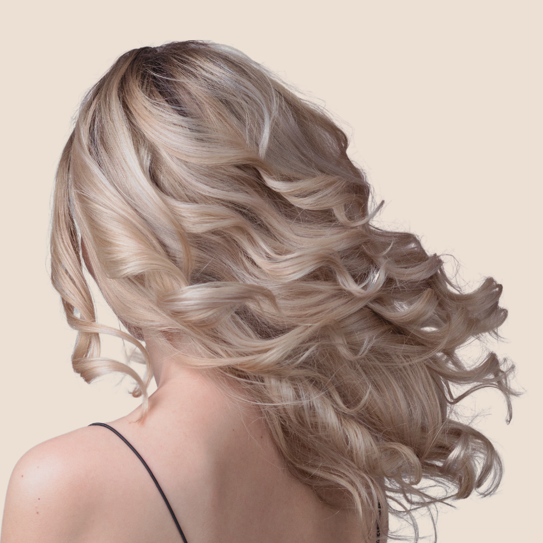 Collections â Exsalonce