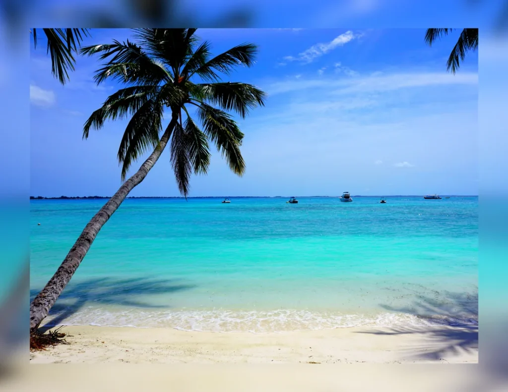 The Ultimate Guide to Maintaining Extensions While Traveling
